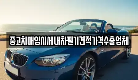 경기도 화성시 중고차매입 전문 중고차매입시세내차팔기견적가격수출업체