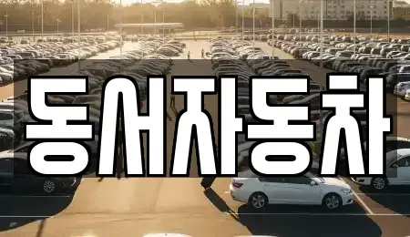 경남 의령군 정곡면 중고차매매 전문 동서자동차