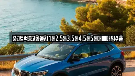 경남 의령군 정곡면 단기렌트카,중고차매입,중고차매매,중고차,렌트카,장기렌트카