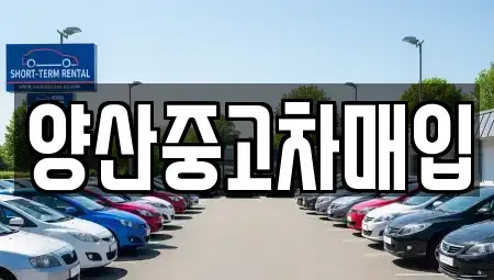경남 중고차매입 전문 양산중고차매입