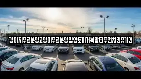 경남 창원시 마산합포구 화영동 중고차매입 전문 강아지무료분양고양이무료분양입양토끼거북말티푸먼치킨유기견