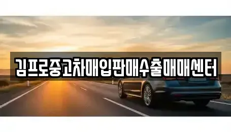 경남 창원시 마산합포구 화영동 중고차매입 전문 김프로중고차매입판매수출매매센터