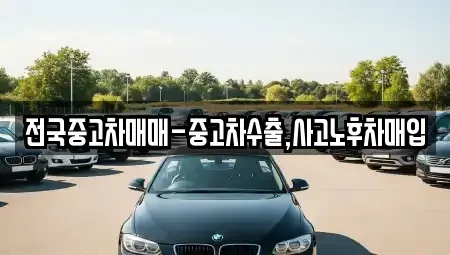 경남 창원시 마산합포구 화영동 중고차매입 전문 전국중고차매매-중고차수출,사고노후차매입