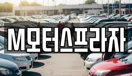 경남 창원시 성산구 양곡동 중고차매매 전문 M모터스프라자