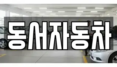 경남 창원시 의창구 동정동 중고차 전문 동서자동차