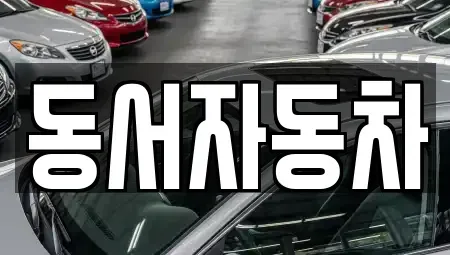 경남 창원시 의창구 사림동 중고차 전문 동서자동차