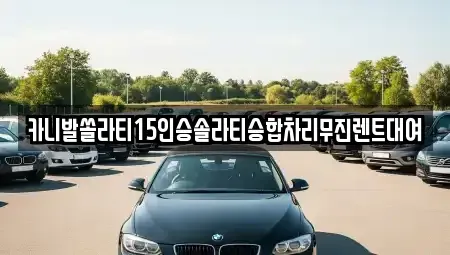 경북 상주시 성하동 렌트카 전문 카니발쏠라티15인승솔라티승합차리무진렌트대여