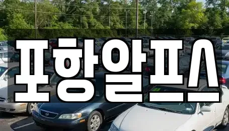 경북 상주시 화산동 렌트카 전문 포항알프스