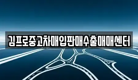 경북 상주시 화산동 중고차매매 전문 김프로중고차매입판매수출매매센터