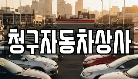 경북 상주시 화산동 중고차매매,단기렌트카,중고차매입,장기렌트카,중고차,렌트카