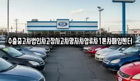 경북 영덕군 강구면 중고차 전문 수출중고차법인차고장사고차망자차압류차1톤차매입센터