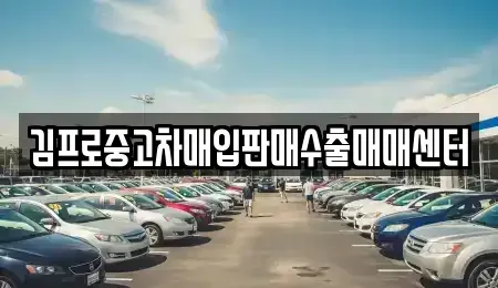 경북 영덕군 지품면 중고차 전문 김프로중고차매입판매수출매매센터