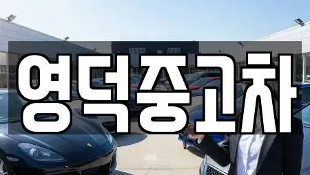 경북 영덕군 지품면 렌트카,단기렌트카,장기렌트카,중고차,중고차매매,중고차매입