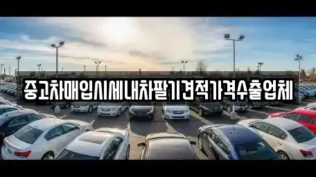 경북 영덕군 지품면 중고차 전문 중고차매입시세내차팔기견적가격수출업체