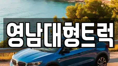 경북 칠곡군 지천면 중고차매매,단기렌트카,중고차매입,장기렌트카,중고차,렌트카