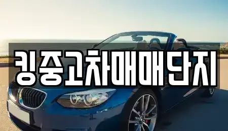 경북 칠곡군 지천면 중고차매매 전문 킹중고차매매단지