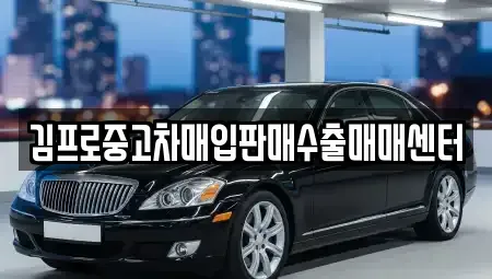 경상남도 거제시 능포동 중고차매매 전문 김프로중고차매입판매수출매매센터