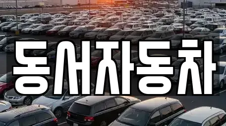 경상남도 거제시 능포동 중고차매매 전문 동서자동차