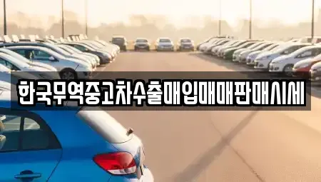경상남도 거제시 능포동 중고차매매,단기렌트카,중고차매입,장기렌트카,중고차,렌트카