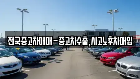 경상남도 거제시 능포동 중고차매입 전문 전국중고차매매-중고차수출,사고노후차매입