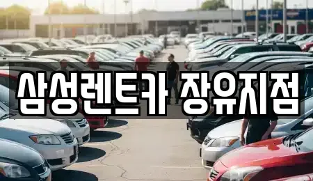 경상남도 김해시 장유동 단기렌트카,중고차매입,중고차매매,중고차,렌트카,장기렌트카