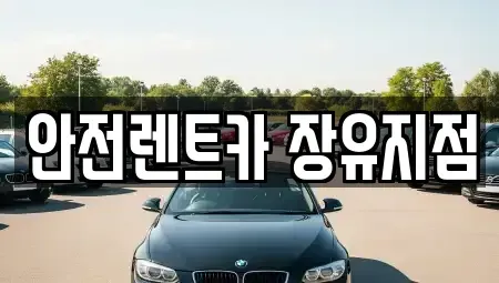 경상남도 김해시 장유동 렌트카 전문 안전렌트카 장유지점