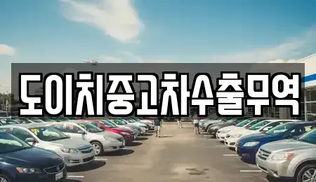 경상남도 김해시 장유동 중고차매매 전문 도이치중고차수출무역