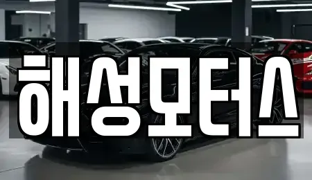 경상남도 김해시 장유동 중고차매매 전문 해성모터스