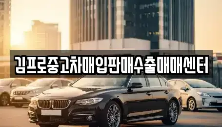 경상남도 김해시 장유동 중고차매입 전문 김프로중고차매입판매수출매매센터