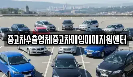 경상남도 김해시 장유동 중고차매입 전문 중고차수출업체중고차매입매매지원센터
