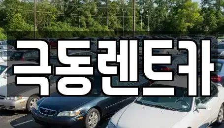 경상남도 밀양시 삼문동 렌트카 전문 극동렌트카