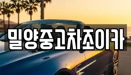 경상남도 밀양시 삼문동 중고차매매 전문 밀양중고차조이카