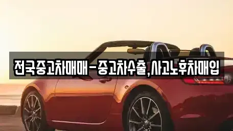 경상남도 밀양시 삼문동 중고차매입 전문 전국중고차매매-중고차수출,사고노후차매입