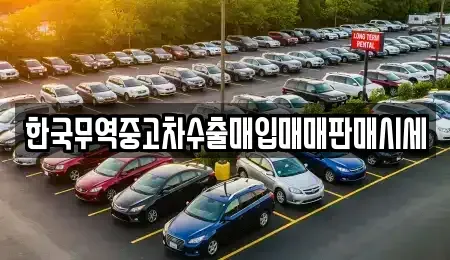 경상남도 밀양시 삼문동 중고차매입 전문 한국무역중고차수출매입매매판매시세