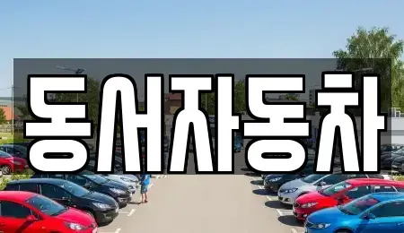 경상남도 양산시 매곡동 중고차 전문 동서자동차