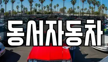 경상남도 진주시 내동면 중고차매매 전문 동서자동차