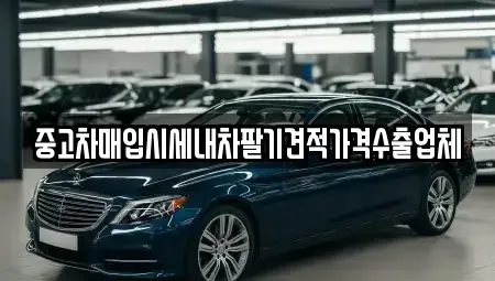 경상남도 진주시 상평동 중고차매입 전문 중고차매입시세내차팔기견적가격수출업체