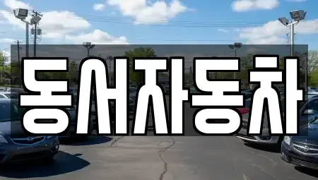 경상남도 창원시 진해구 신흥동 중고차 전문 동서자동차