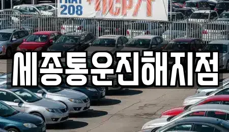 경상남도 창원시 진해구 장천동 렌트카 전문 세종통운진해지점