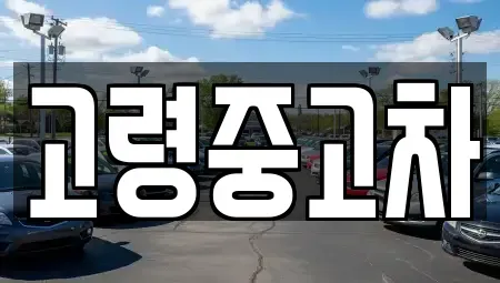 경상북도 고령군 대가야읍 중고차매매,단기렌트카,중고차매입,장기렌트카,중고차,렌트카