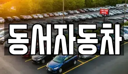경상북도 고령군 대가야읍 중고차매매 전문 동서자동차