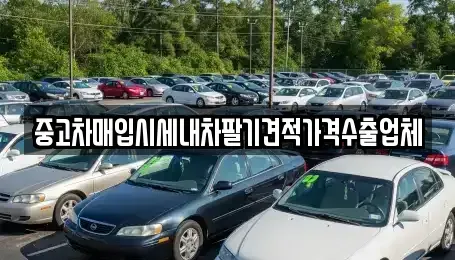 경상북도 고령군 대가야읍 중고차매매 전문 중고차매입시세내차팔기견적가격수출업체