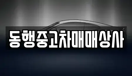 경상북도 안동시 수하동 중고차매매,단기렌트카,중고차매입,장기렌트카,중고차,렌트카