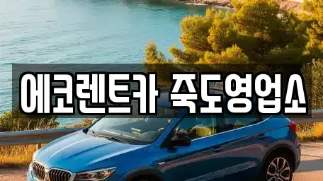 경상북도 포항시 남구 연일읍 렌트카 전문 에코렌트카 죽도영업소