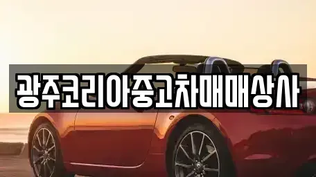 광주 광산구 흑석동 중고차 전문 광주코리아중고차매매상사