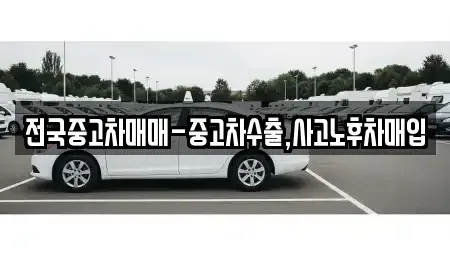 광주 광산구 흑석동 중고차매입 전문 전국중고차매매-중고차수출,사고노후차매입