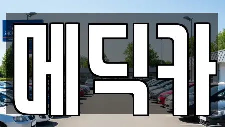 광주광역시 남구 양과동 중고차 전문 메딕카