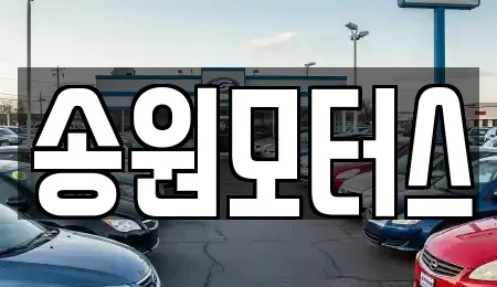 광주광역시 남구 양과동 중고차매입 전문 송원모터스