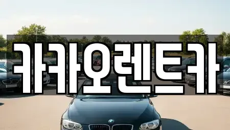 광주광역시 서구 서창동 렌트카 전문 카카오렌트카