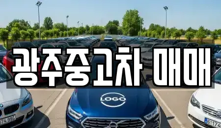 광주광역시 서구 서창동 중고차 전문 광주중고차 매매